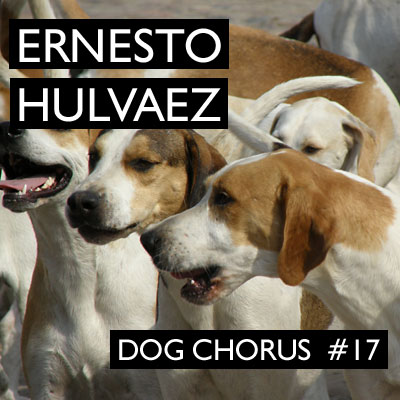 Dog Chorus 17